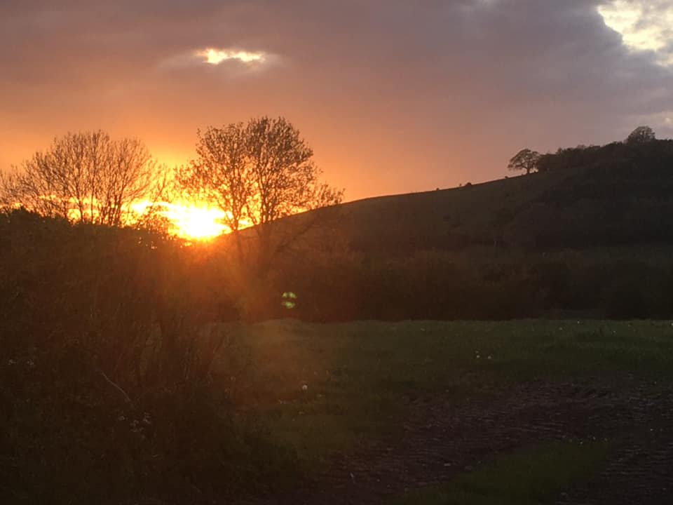 Corona Sunset