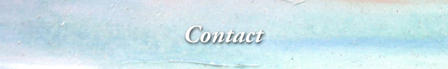Contact Andrea Foulkes Contact header
